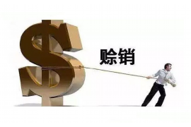 炉霍专业要账公司